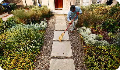 Maintenance & Landscaping
